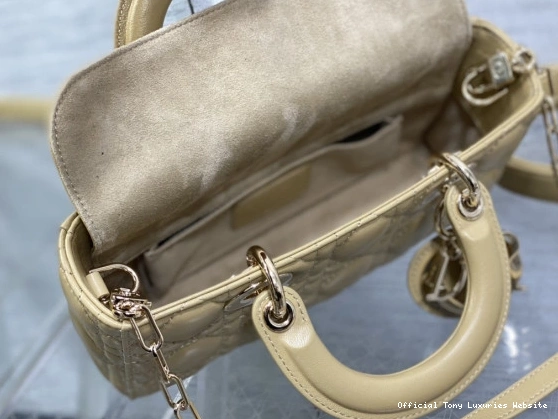 Tony Luxuries D-JOY LADY BAG-22*12*6CM diro 0723